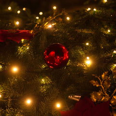 Collection image for: Christmas Lights