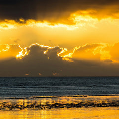 Collection image for: New Arrivals