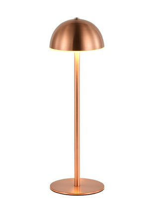 Luxury LED Metal Desk Lamp